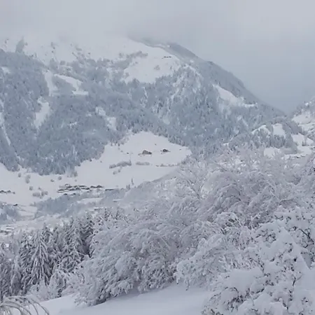 Gaestehaus Zedlacherhof בית הארחה