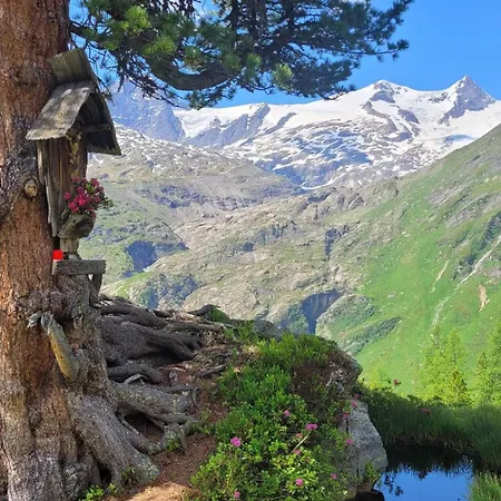 בית הארחה Gaestehaus Zedlacherhof