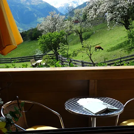 Gaestehaus Zedlacherhof בית הארחה מטרי אין אוסטירול