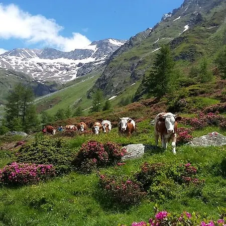 Gaestehaus Zedlacherhof Konukevi