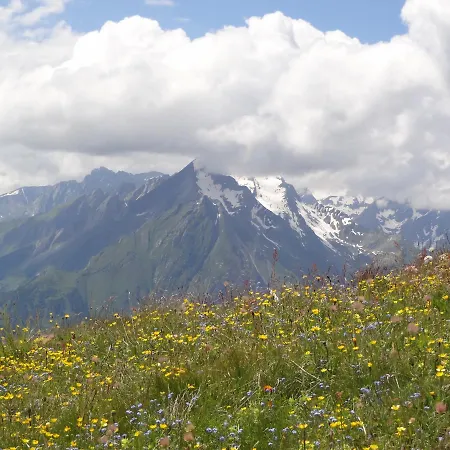 Gaestehaus Zedlacherhof מטרי אין אוסטירול