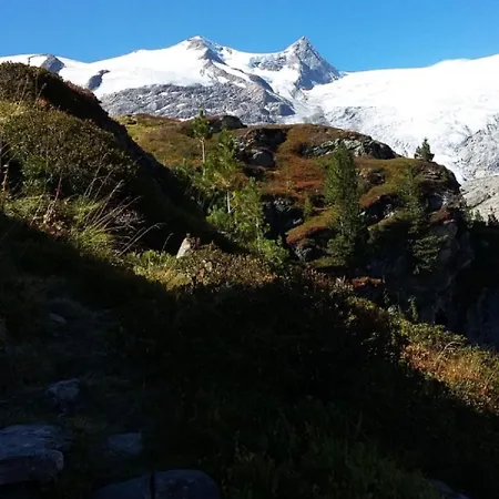 בית הארחה Gaestehaus Zedlacherhof מטרי אין אוסטירול