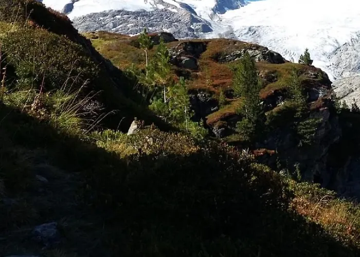 Pensjonat Gaestehaus Zedlacherhof Matrei in Osttirol