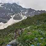 게스트하우스 Gaestehaus Zedlacherhof 3*